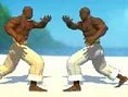 Capoeira