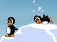 Kizgin Penguenler