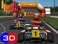 Go Karts