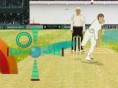 World Cricket 2011
