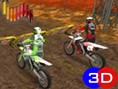 Motocross Fever