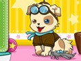 Happy Cute Puppy