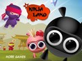 Ninja Land