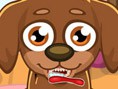 Cute Care Puppy