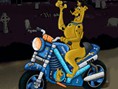 Scooby Doo Motor Yarışı