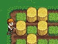 Kleiner Farmer