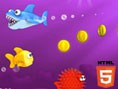 Fishy Rush