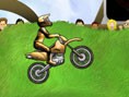 Kabiliyetli Motorcu
