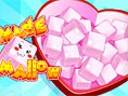 Homemade Marshmallow