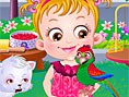 Baby Hazel Parrot Care