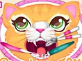 Precious Kitty Dentist