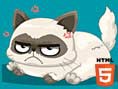 Ne Çeşit Bir Kedi?