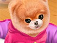 Şirin Yavru Köpek