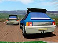 Rallye-Weltmeister-schaft
