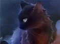 Warrior Cats Quiz