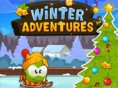 Winter Adventures