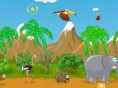 Afra Fly