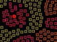 Coloruid 2