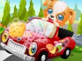 Hunde- Autowäsche