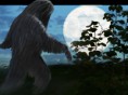 Bigfoot - Chasing Shadows