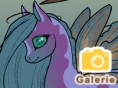 Pony-Fee