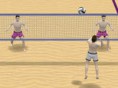 Summer Sports: Beach Volleyball