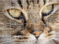 Jigsaw Puzzle Classic