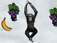 Monkey Fly
